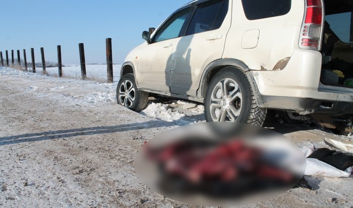 В Приангарье группу охотников осудили за убийство косули