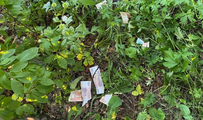 В Бохане парень украл у пенсионерки деньги и разорвал их