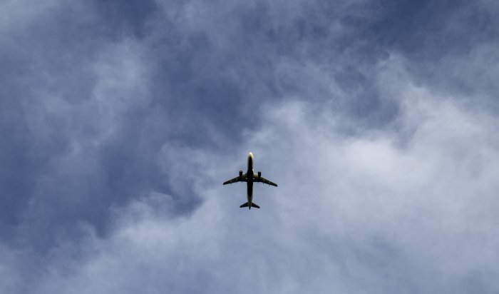 Тела погибших при крушении Ан-24 извлекли из-под обломков в Амурской области (Видео)