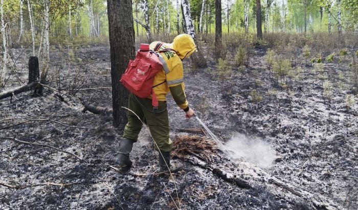 С 8 по 10 августа в лесном фонде в Иркутской области ликвидировано восемь возгораний