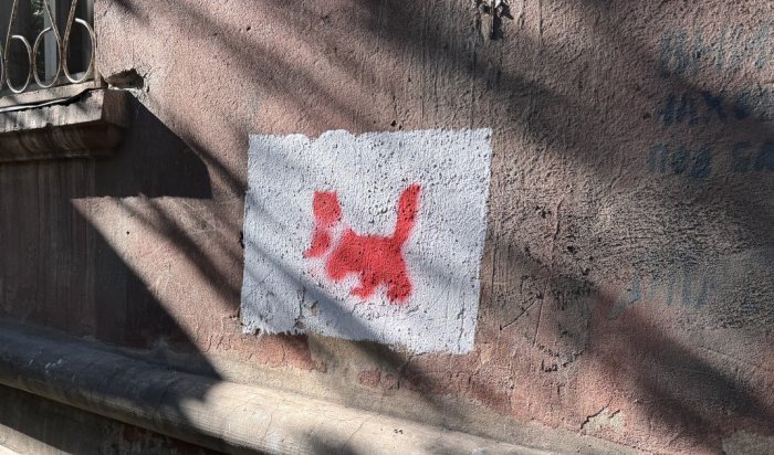 В Иркутске прошла акция «Очистим наши улицы!»