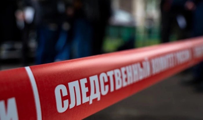 В Нижнеудинске девушка-опекун распивала спиртные напитки с 17-летним братом