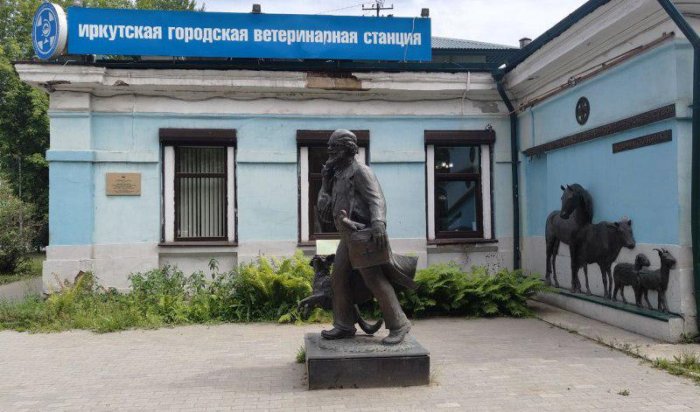 Служба ветеринарии зафиксировала 94 нарушения правил утилизации биологических отходов