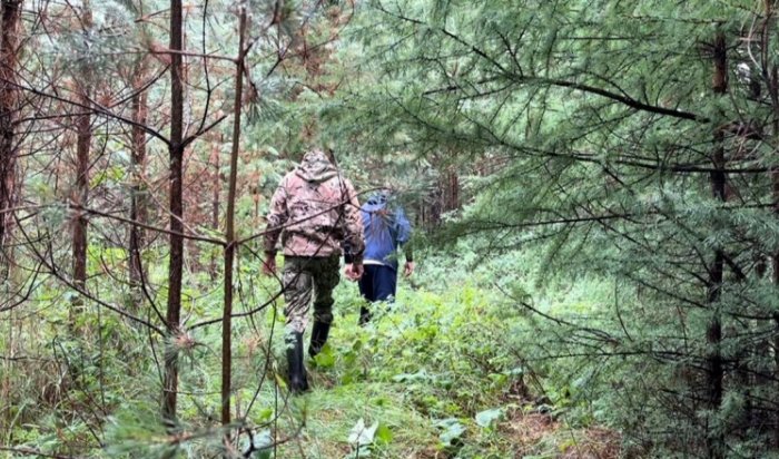 В Шелеховском районе дети ушли в лес за грибами и заблудились