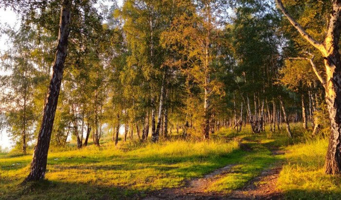 Прогноз погоды на 1 сентября в Иркутске: тепло, но возможен дождь