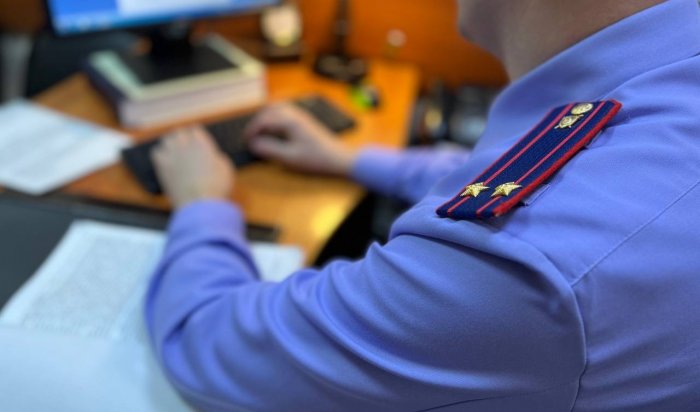 Иркутянка не сообщила властям о получении второго гражданства и попала под суд