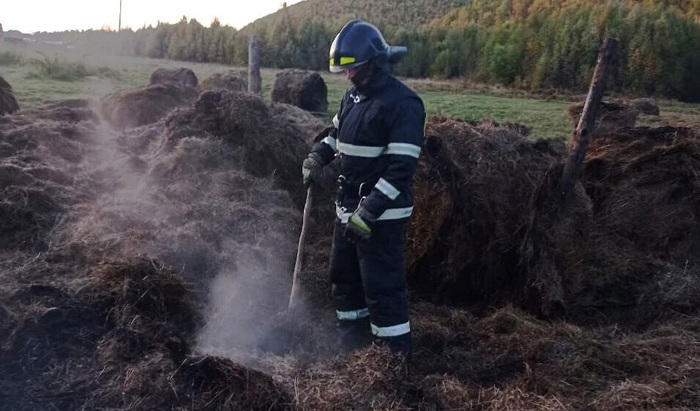 В Култуке огонь уничтожил 15 тонн сена