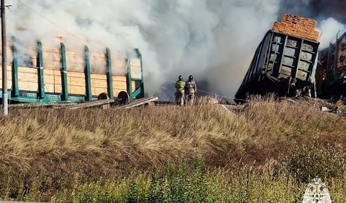 Под Смоленском вагоны загорелись после столкновения поезда с автомобилем (Видео)
