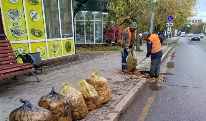 В Иркутске организована ежедневная уборка улиц