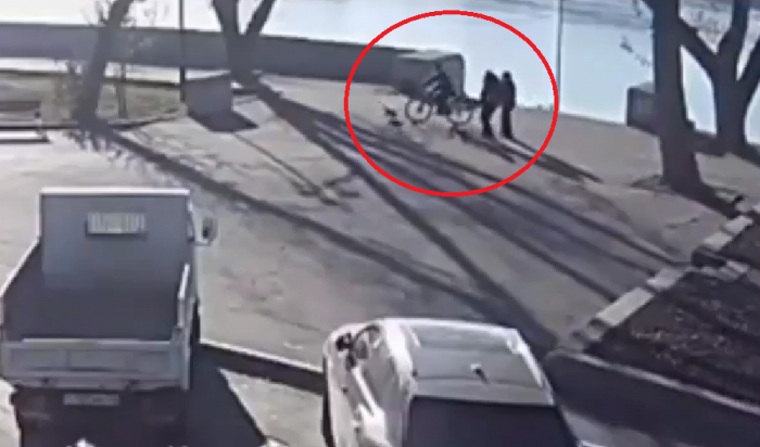 В Иркутске пожилой велосипедист переехал щенка корги (Видео)