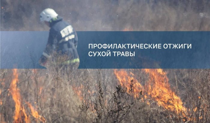 Отжиги сухой травы пройдут в мкр Искра в Иркутске
