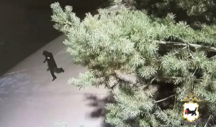 Житель Ангарска похитил элитный парфюм, мобильные телефоны и украшения на полмиллиона рублей, продав их за 50 тысяч (Видео)