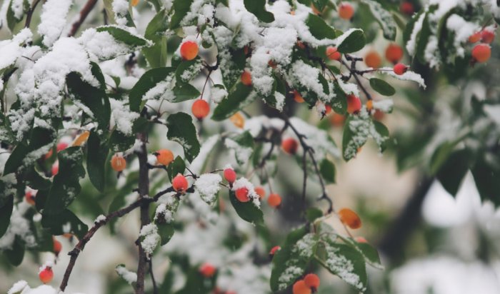 От +9 до –29 за три дня: в Иркутской области резко похолодает