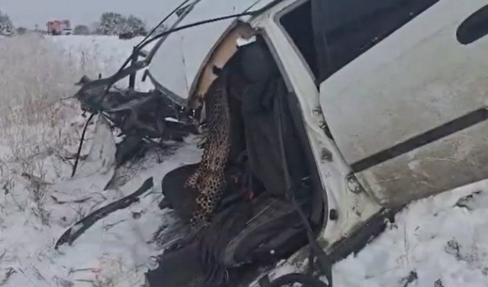 Водитель иномарки погиб в ДТП с BMW и грузовиком (Видео)