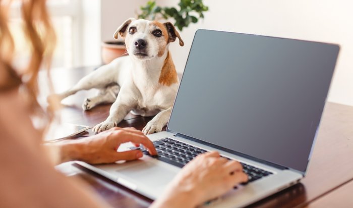 МТС включила гигабитный домашний интернет для жителей «Березового», «Атмосферы» и других микрорайонов Иркутска