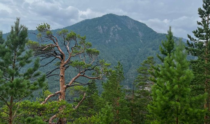 С 17 ноября повысили стоимость посещения Тункинского нацпарка