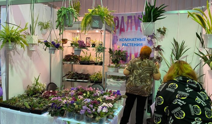 В Иркутске пройдет выставка комнатных растений