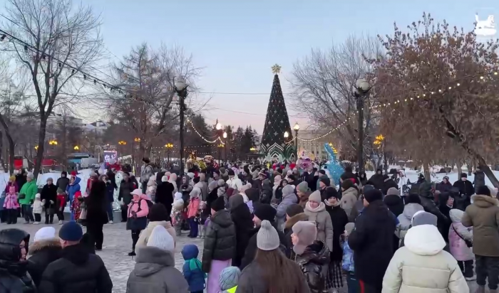 Главную городскую ель в Иркутске откроют 20 декабря