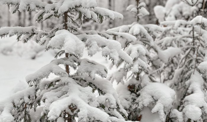 Аномальные морозы до -30 и ниже прогнозируются в северных регионах Сибири, Урала и Якутии