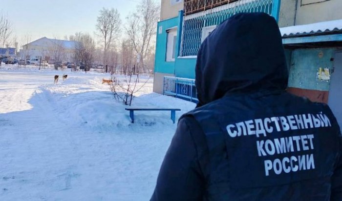 Бывшего мэра Тайшетского района приговорили к штрафу за халатность в организации отлова бродячих собак