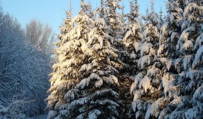 В Иркутской области пройдет межведомственное оперативно-профилактическое мероприятие «Метель»