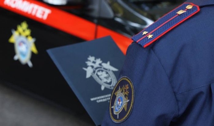 В Иркутске бездомные собаки дважды напали на ребенка