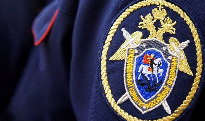 В Иркутске бездомная собака напала на ребенка