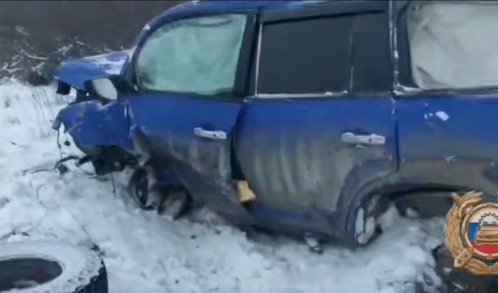 В Тулунском районе ребенок пострадал в ДТП (Видео)