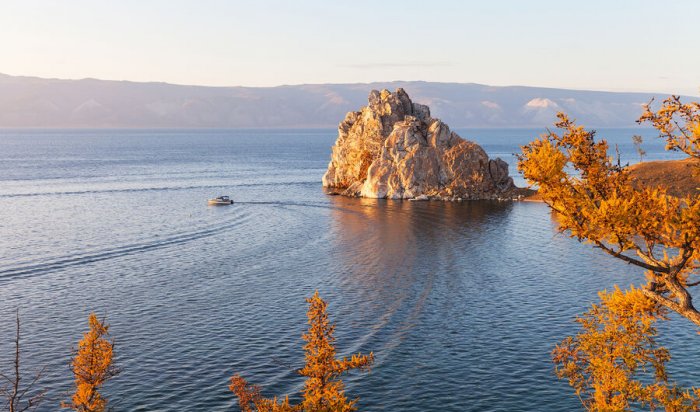 Госдума поддержала законопроект о вырубке леса на Байкале