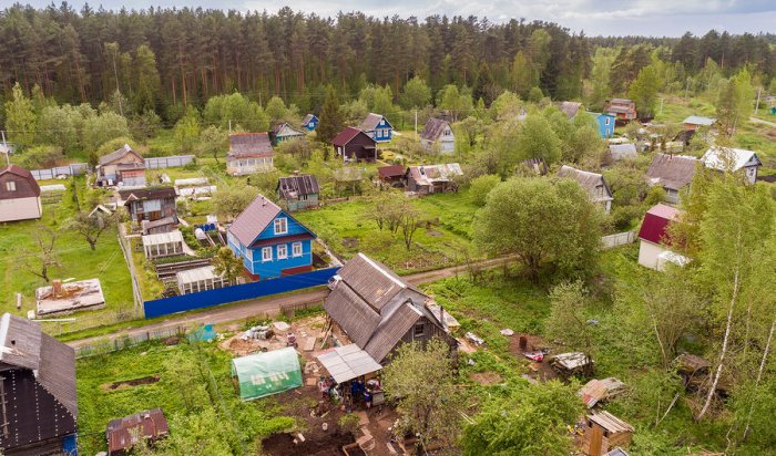 Россиян предупреждают о рисках утраты дачного участка из-за засорения и запустения