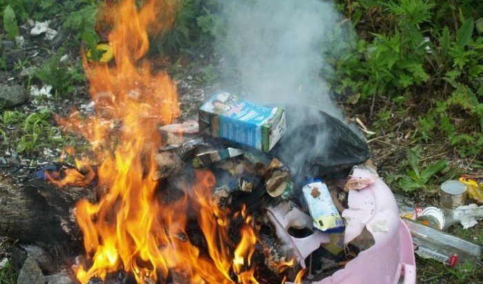 МЧС предупреждает: сжигать мусор на территории Иркутска запрещено