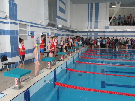 В Иркутске 10 апреля пройдет чемпионат города по плаванию