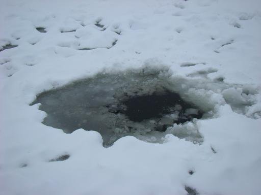 В Иркутской области провалились под лед двое детей