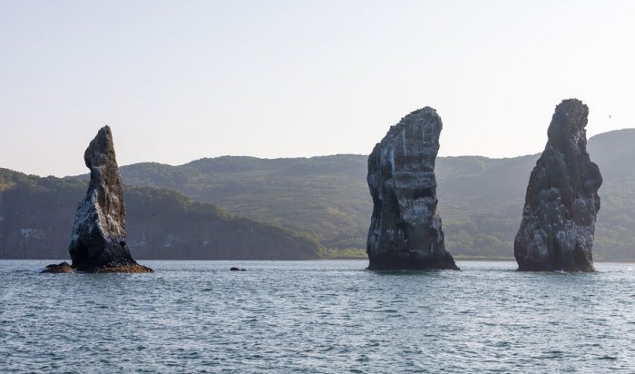 14 землетрясений ощутимой силы произошли на Камчатке за неделю