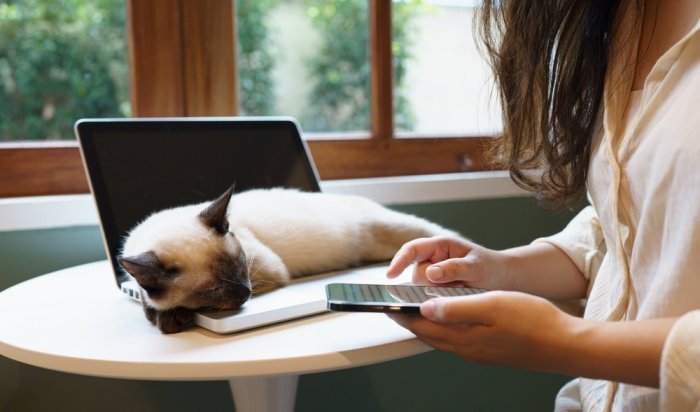 МТС запустила ИИ-ассистента ментальной поддержки для молодежи Приангарья