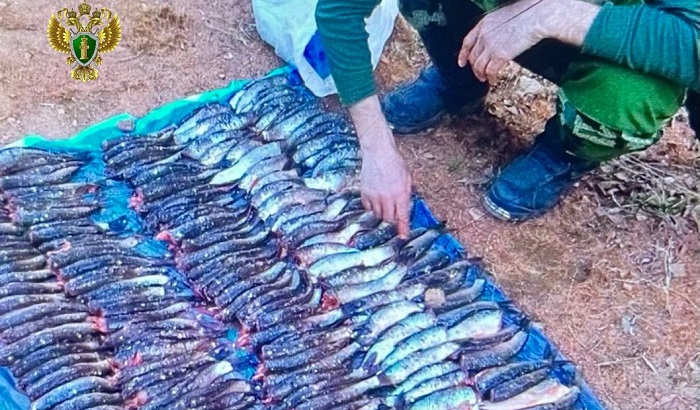 Житель Забайкалья заплатит 350 тысяч рублей штрафа за незаконную рыбалку
