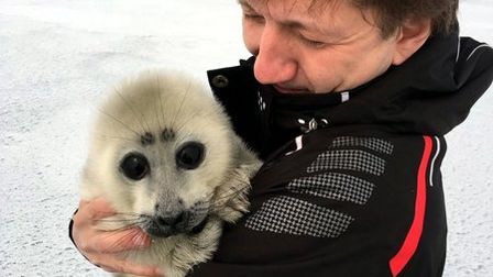 Житель Иркутска спас на берегу Байкала нерпёнка