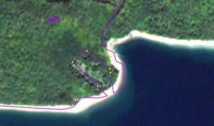 4,8 гектара леса в Братском районе возвращены в собственность РФ