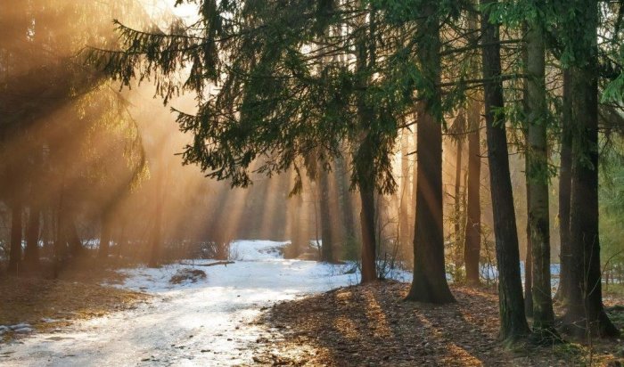 Абсолютный рекорд февраля: в Иркутске 19 февраля температура поднялась до +13,8 градусов