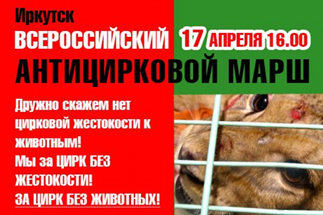17 апреля в Иркутске пройдет митинг в защиту цирковых животных