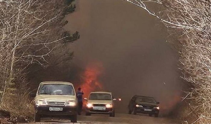 Братчанина признали виновным в лесном пожаре и ущербе в СНТ «Алюминщик»
