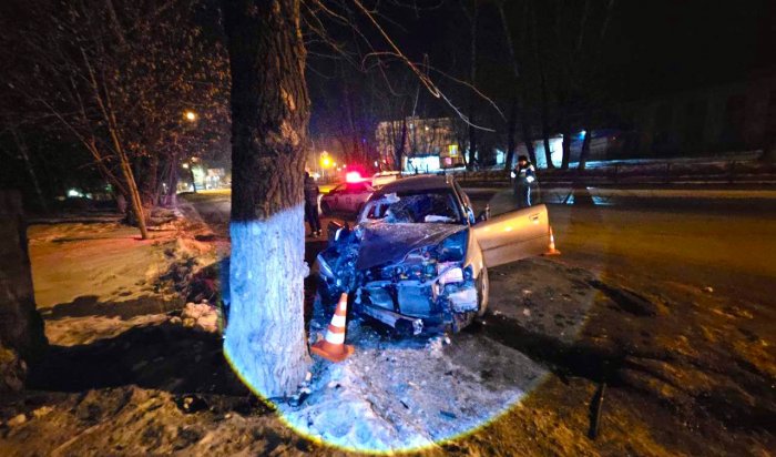 Шесть человек погибли в ДТП на дорогах Приангарья