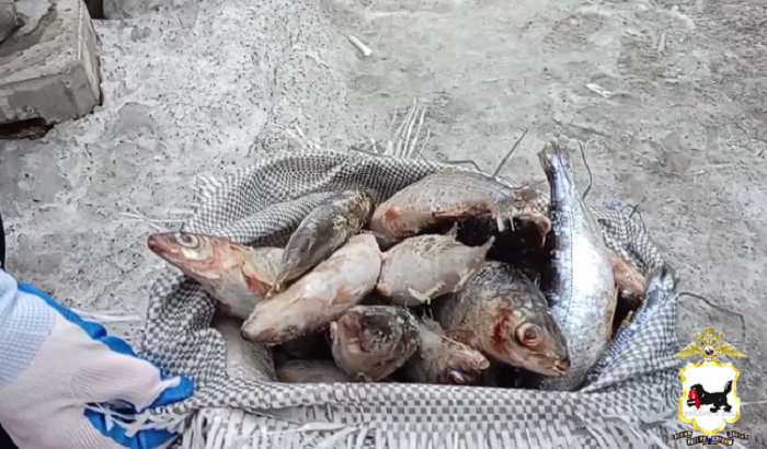 «Тойота-Хайс» с 27 мешками омуля попала в руки полиции