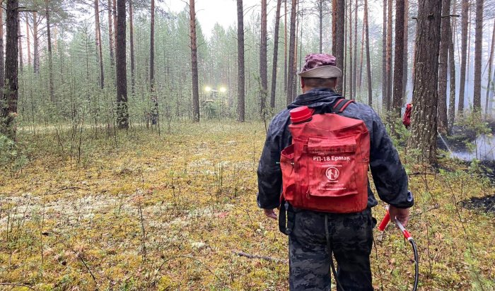 В Иркутской области накануне ликвидирован лесной пожар
