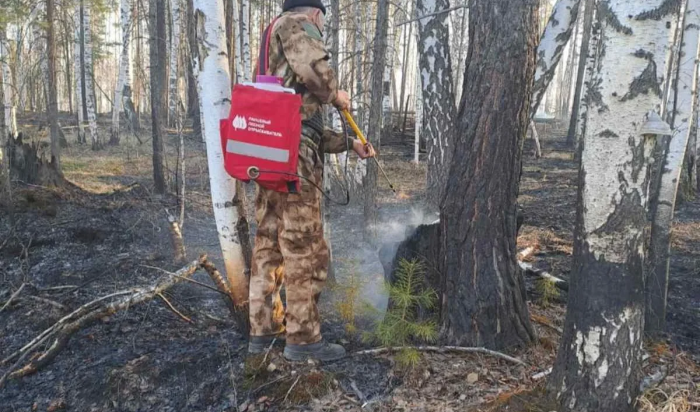 Лесной пожар ликвидировали в Нижнеудинском районе