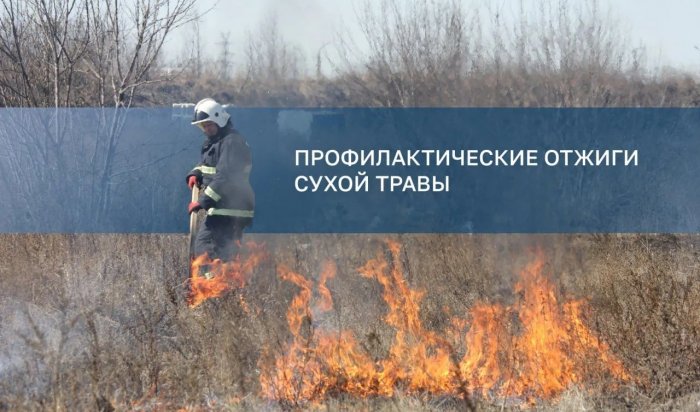 Отжиги сухой травы пройдут в Октябрьском округе Иркутска