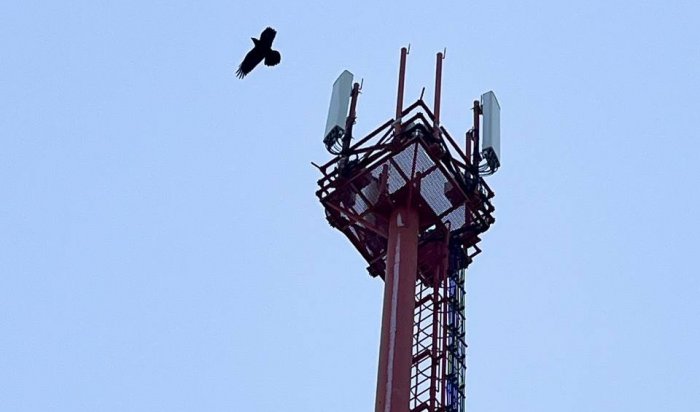 МТС запустила отечественные базовые станции LTE в 15 районах Приангарья
