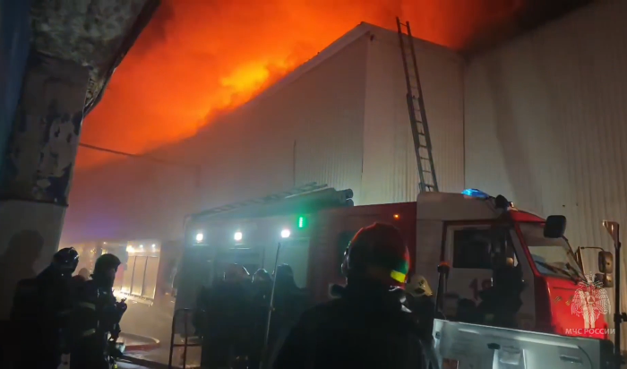 У Измайловского кремля в Москве произошел пожар (Видео)