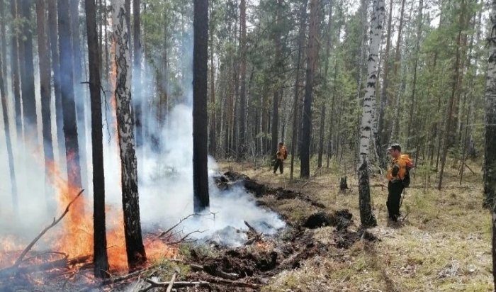 Усть-Илимск окутало плотным дымом лесных пожаров