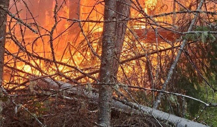 Четыре лесных пожара потушили за сутки в Приангарье